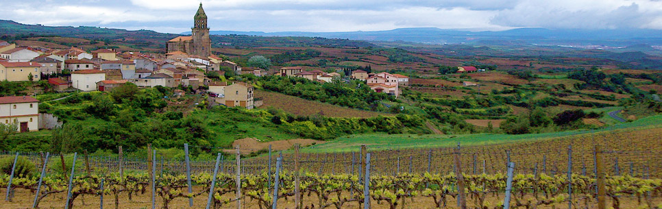 rioja paisaje vino